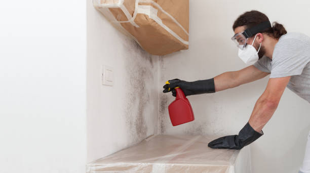 Professional Bathroom Mold Removal technician working in Towaco, NJ